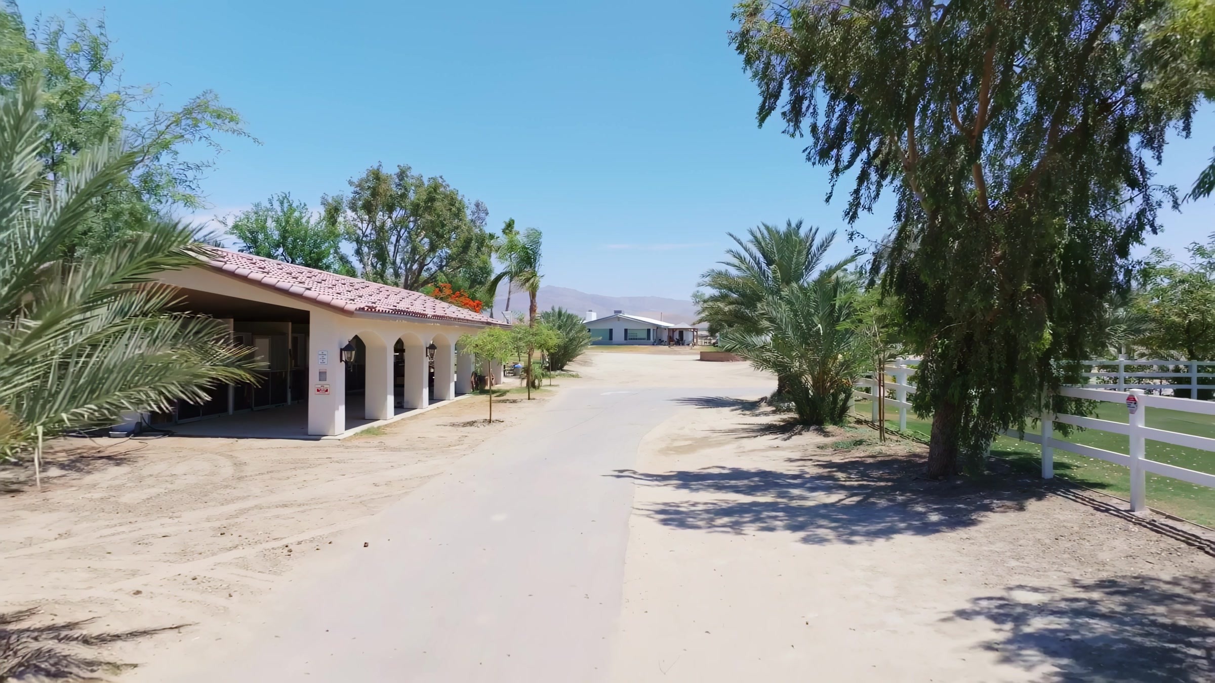 Driveway entrance to Rancho Escondido wedding venue framed by palm trees and the desert mountains of Indio.